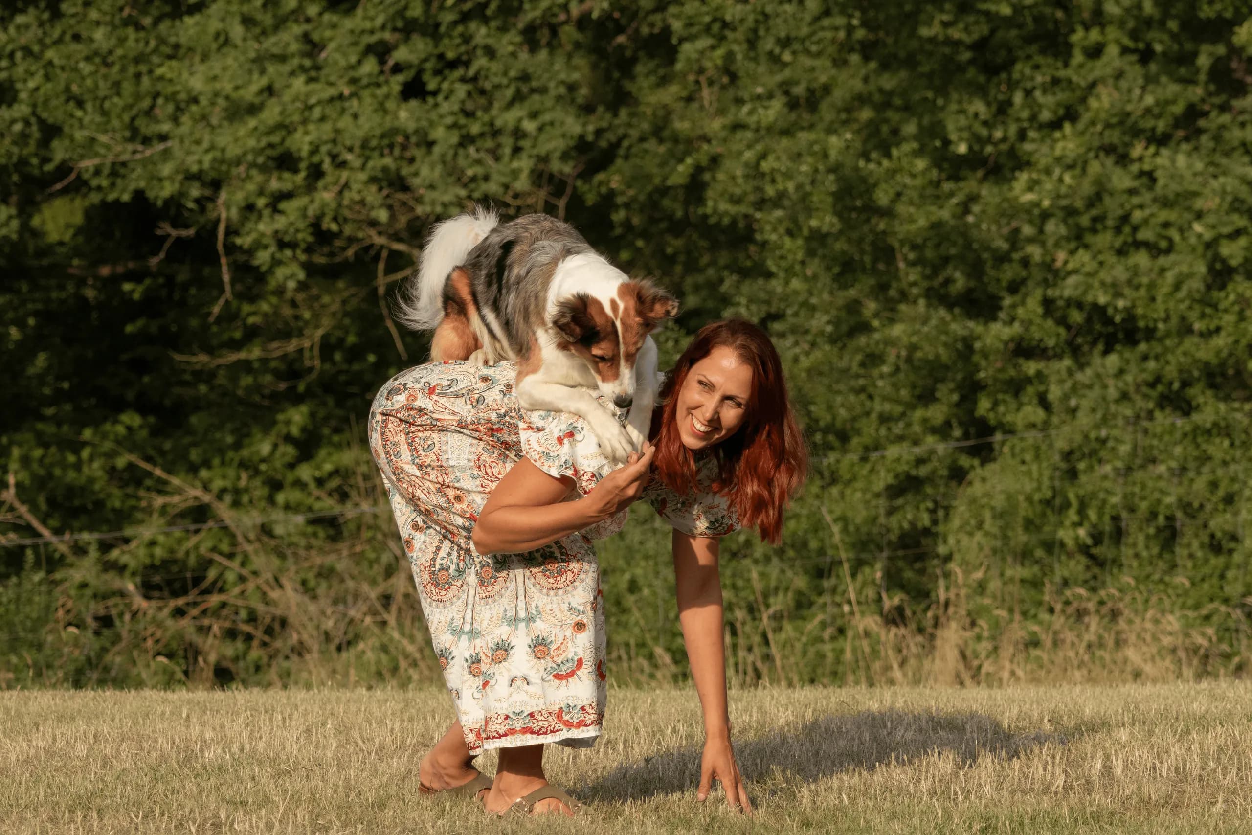 Langhaariger Hund klettert auf den Rücken einer lachenden Frau, die sich auf der Wiese vornüberbeugt