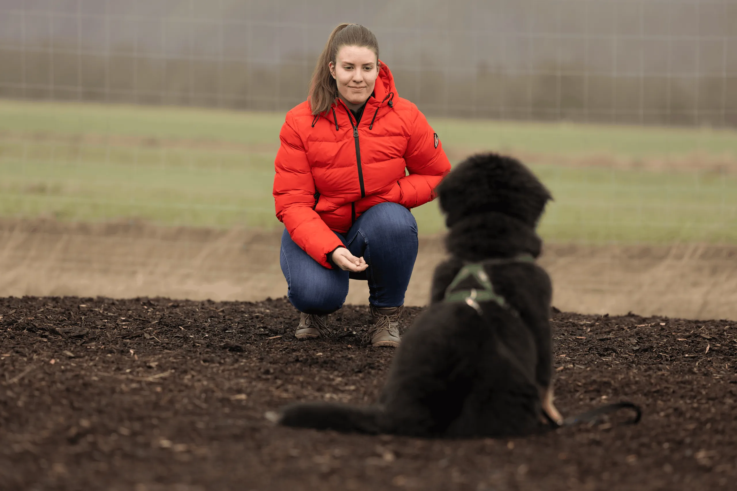 Schwarzer Hund sitzt mit dem Rücken zur Kamera und schaut zu einer Frau, die vor ihm in der Hocke wartet